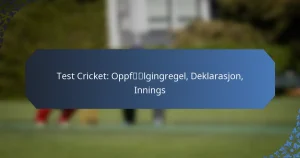Test Cricket: Oppfølgingregel, Deklarasjon, Innings
