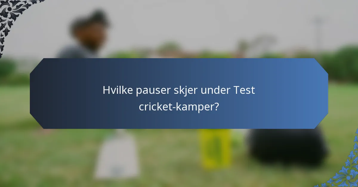 Hvilke pauser skjer under Test cricket-kamper?