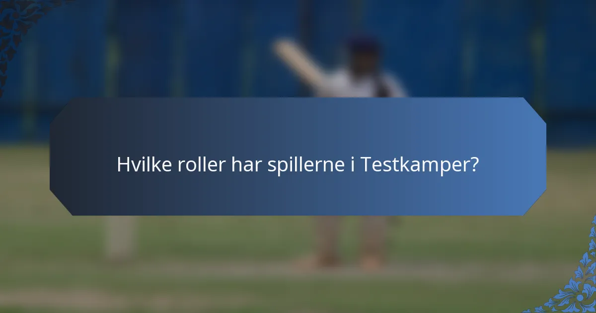 Hvilke roller har spillerne i Testkamper?